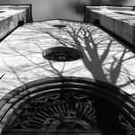 Z Kašperských Hor I.