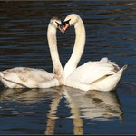 Dolů se nedívej!!!!tam nemáme hlavy