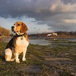 povodňový hlídač