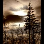 Když realné se zdá být nerealné