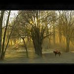 ...Večerní Projížďka...