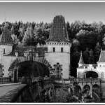 ...LES KRÁLOVSTVÍ...