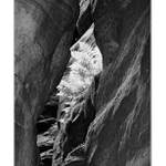 ...křehká krása...