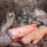 Poslední večeře páně