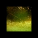 slunko svííícííí pres plotek