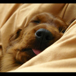 copak se jí asi zdá?