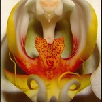 Ďábel Vás sleduje !