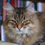 Bože, už zase ty...