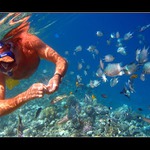 Setkání pod hladinou