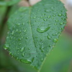 potesenie z rannej sprchy