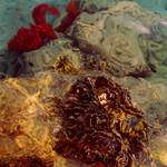 pod mořskou hladinou