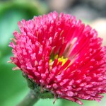 ...trochu přiblížení...