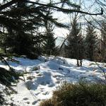 Sváteční sníh 2008