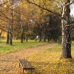 podzim