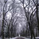 Na rozlučku se zimou