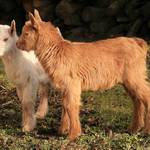 Pojď blíž, něco ti povím