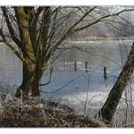 nesmělé zimní slunce