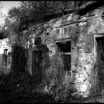 Zarastená história.