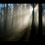 když mlha rozmrzla 2