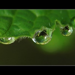 ..vánoční zdobení..