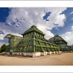 Palmenhaus