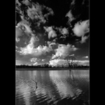 Počítání oveček