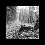 Obyčejné kousky krajin