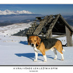 A vraj všade len ležím a spím