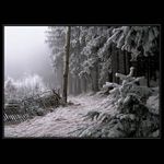 zima v Českém lese ...