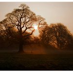 ...early in the morning...