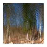 vodní malování II.