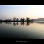 ... Petrovický rybník ...