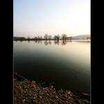 ... Petrovický rybník II ...