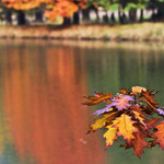 velitel družstva :)