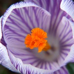 ...začátek konce...