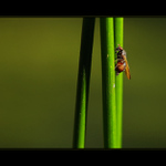 ...křižovatky II...