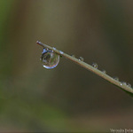 Na pokraji zkázy...