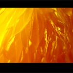 orange...