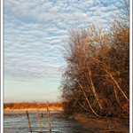 Zátiší vypuštěného rybníka