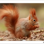 jedna krasna zrzka :)