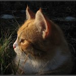 při západu slunce...