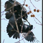 Naposledy....rozumíš....