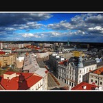 Opravdový první jarní.....