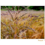 Pro maličkost nevidět svět...