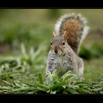 ... co mas dobreho ?! ...