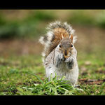 ... uz to chroupu ...