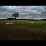 *** DEN KDY ŘÁDILA EMMA II.***