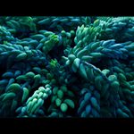 *** STRUKTUROVKA ***