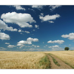 Jen tak.. letní cvak