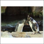 povídejte, poslouchám....